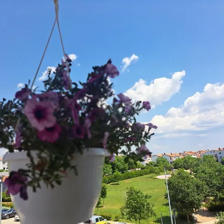 아파트 Battistella's Near The Sea